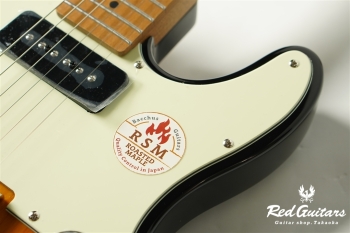 BTE-2-RSM/M  3TS